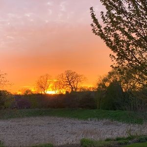 Meet your Posher, Claire